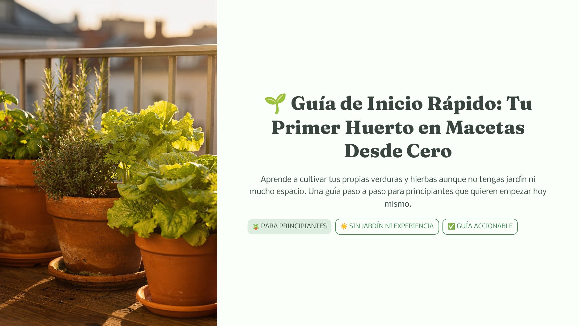 Página 1 de la guía